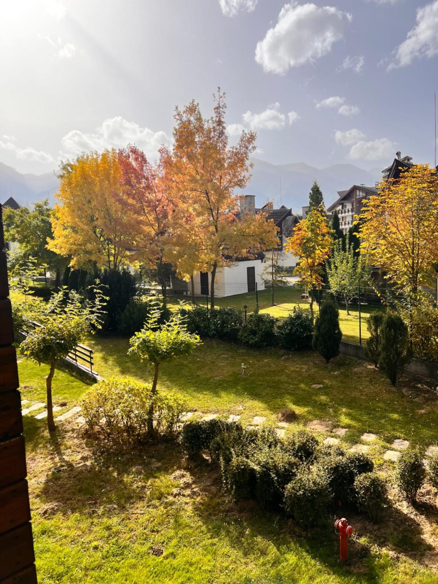 Cosy Studios With Mountain View Near Bansko Разлог Экстерьер фото